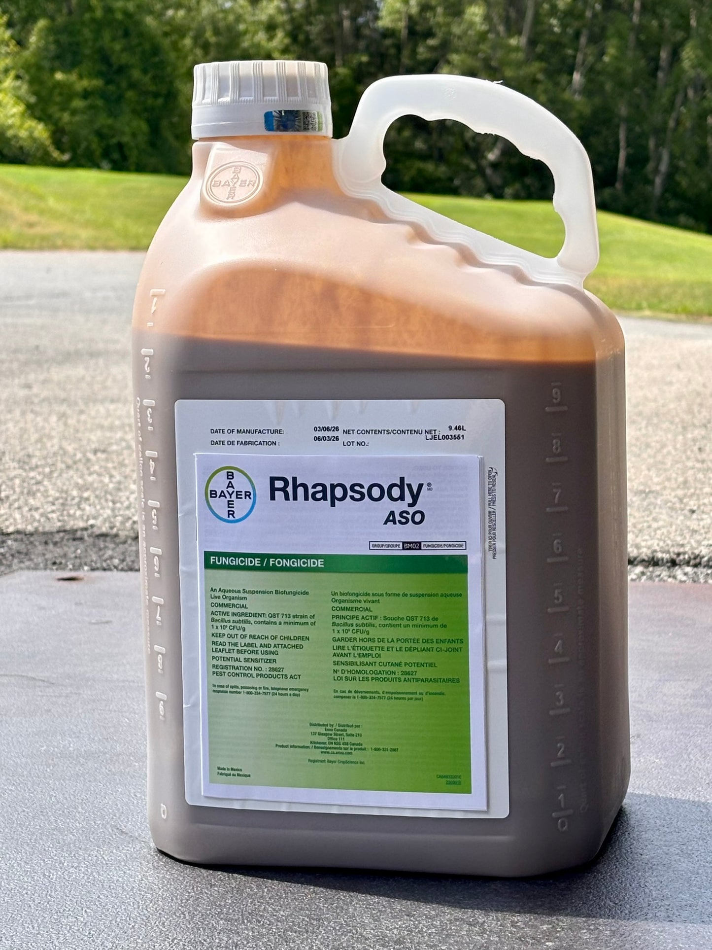 Rhapsody