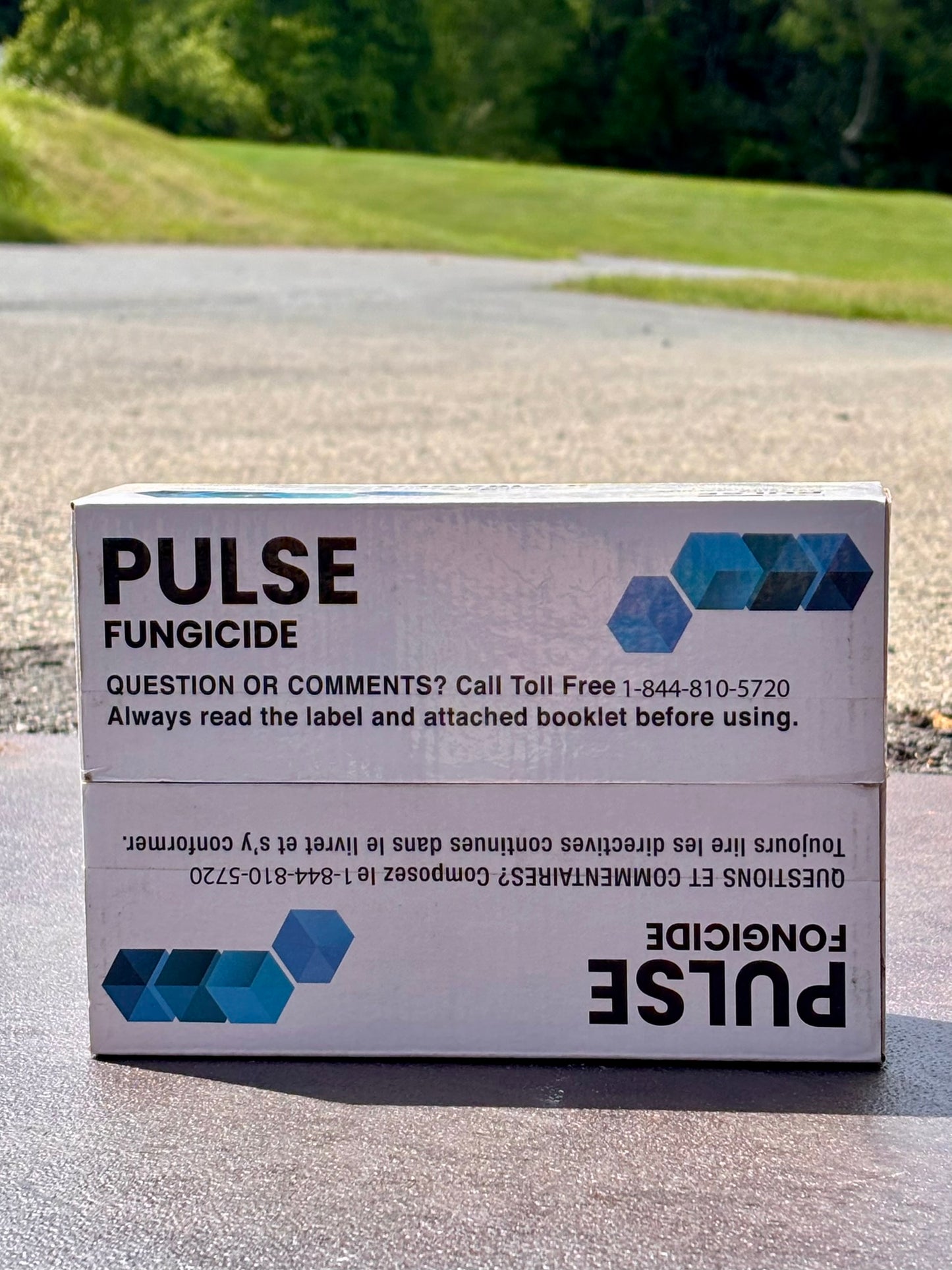 Pulse