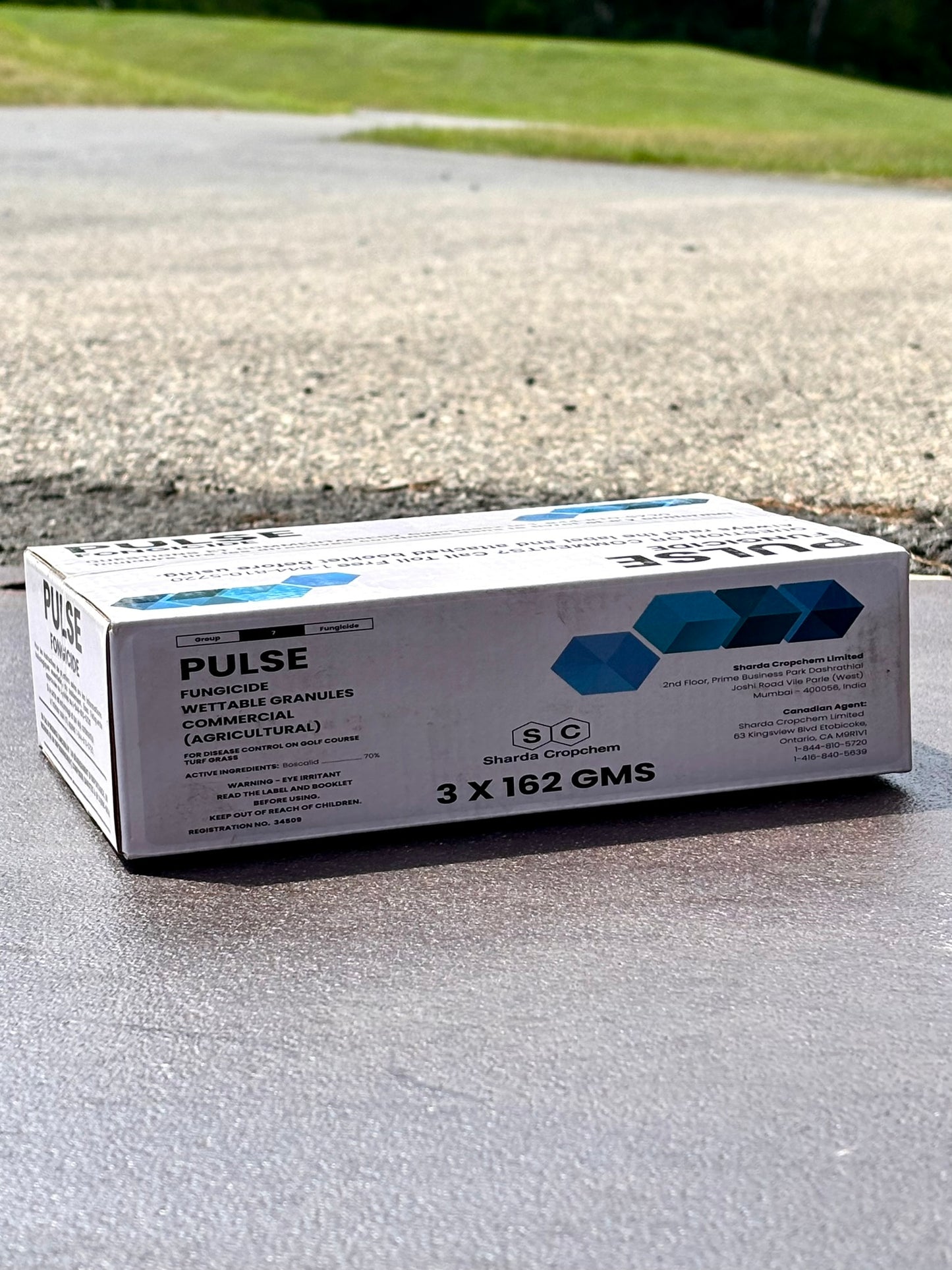 Pulse