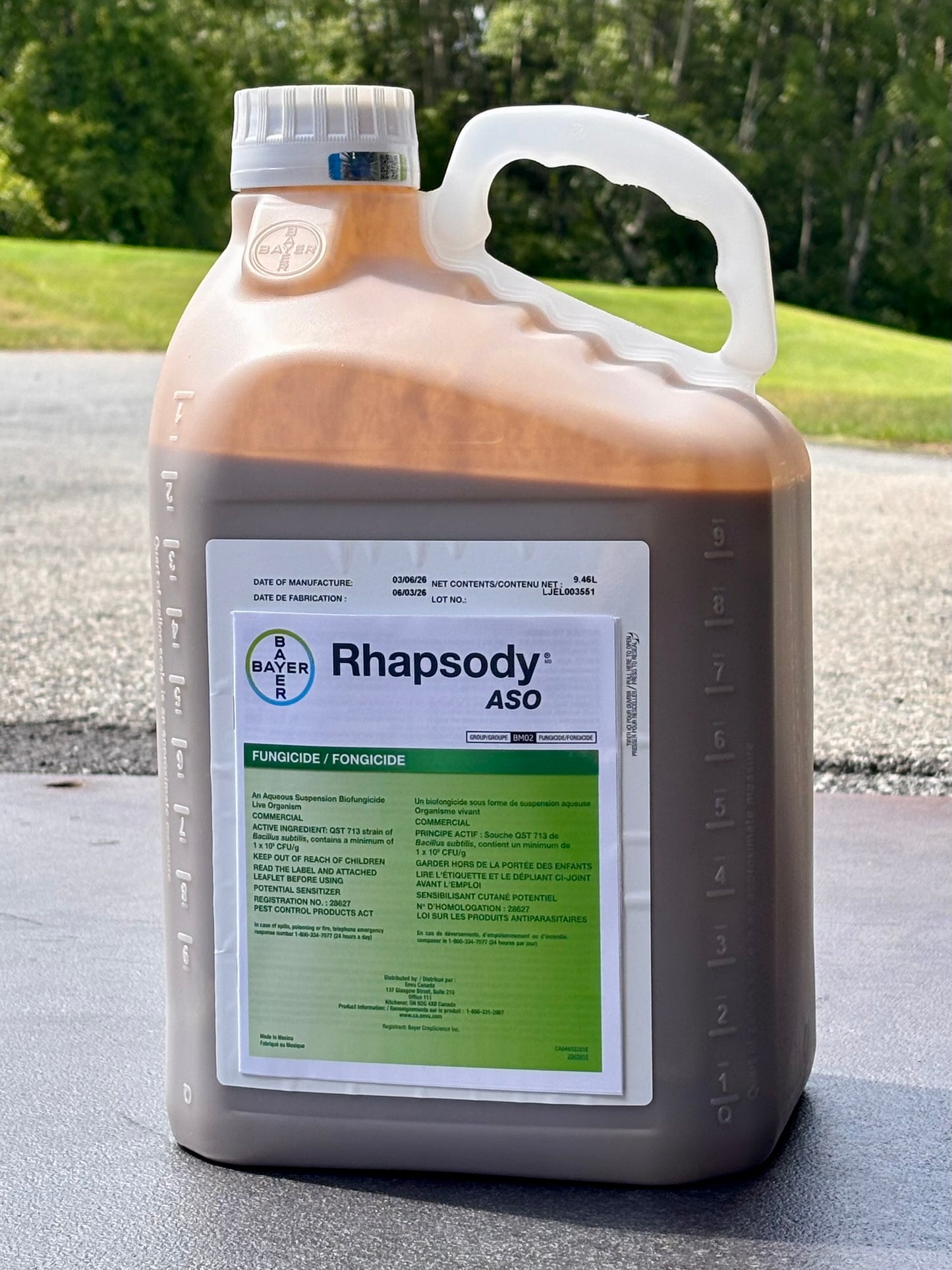 Rhapsody